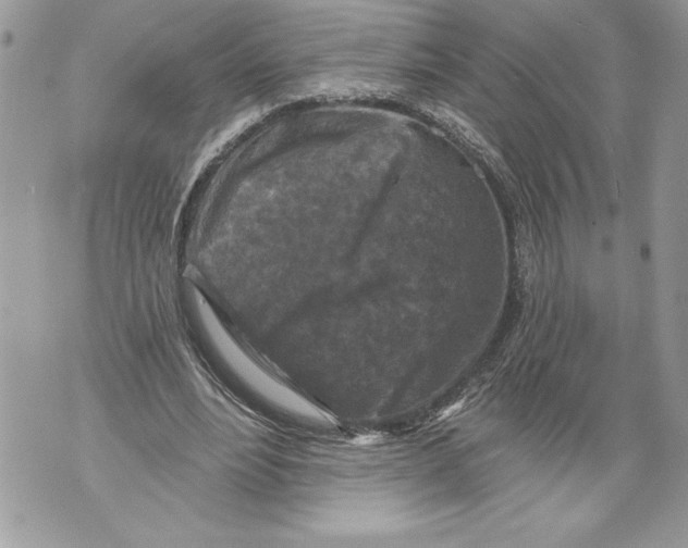 X0000071850488200607290136