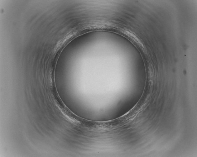 X0000071850489200607290136