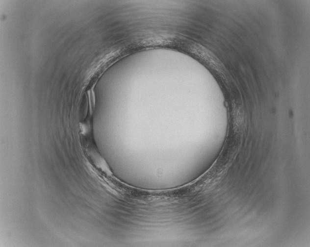 X0000071850490200607290136