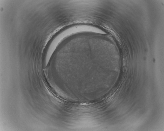 X0000071850492200607290136