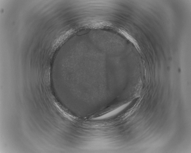 X0000071850493200607290136