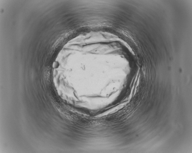 X0000071850495200607290136