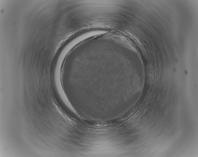 X0000071850496200607290136