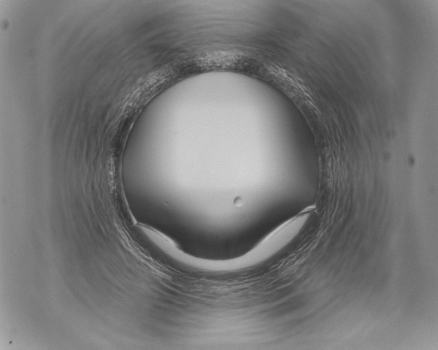 X0000071850498200607290136