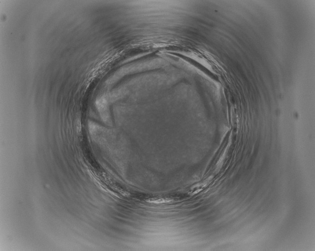 X0000071850500200607290136