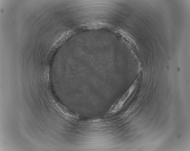 X0000071850501200607290136