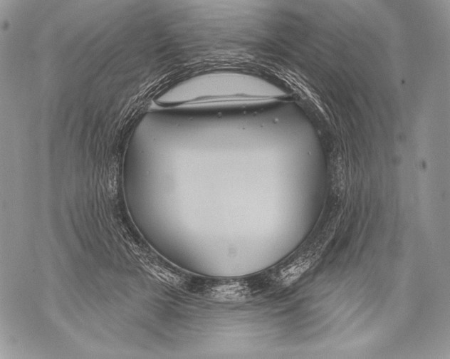 X0000071850505200607290136