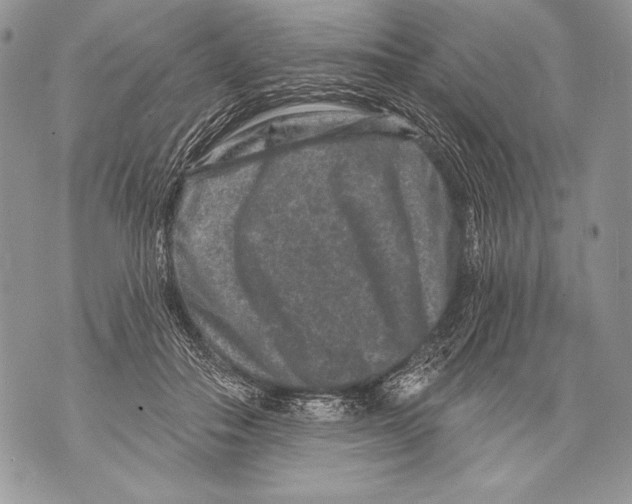 X0000071850506200607290136