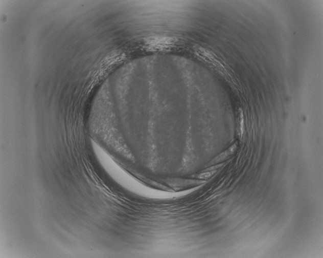 X0000071850508200607290136