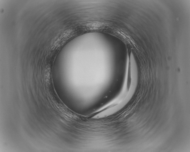 X0000071850509200607290136