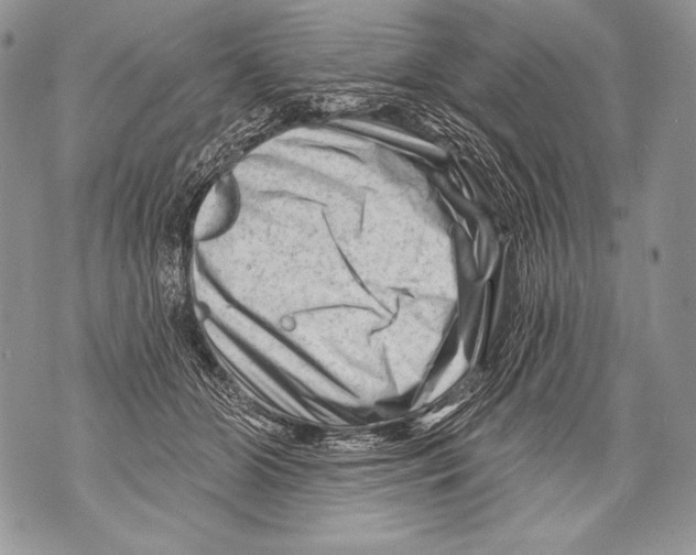 X0000071850510200607290136