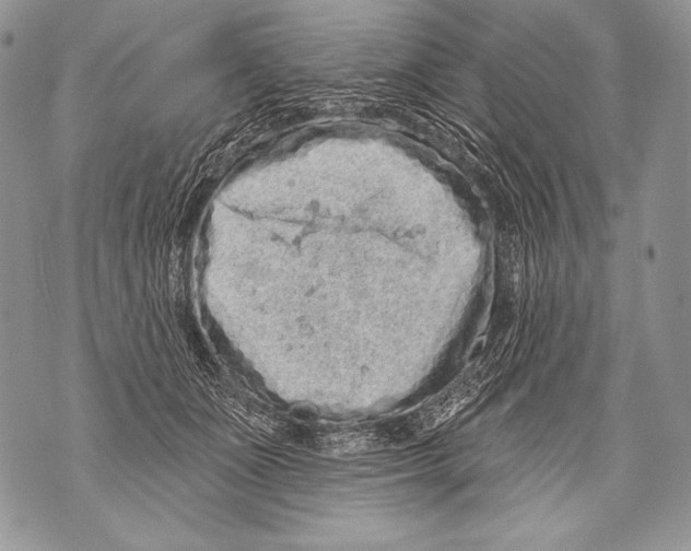 X0000071850511200607290136