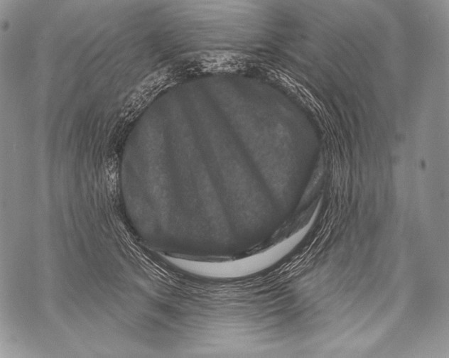 X0000071850513200607290136