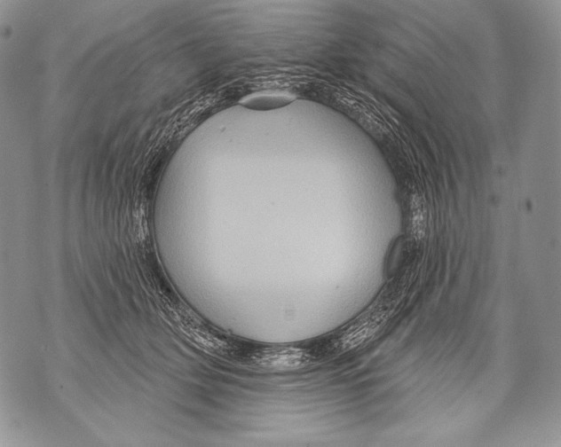 X0000071850514200607290136