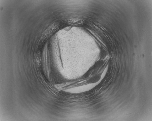 X0000071850515200607290136