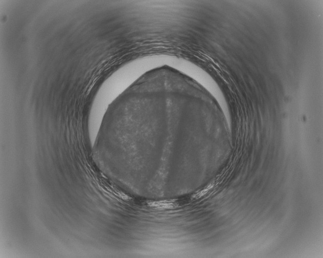 X0000071850516200607290136