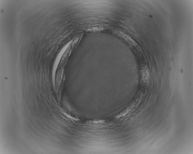 X0000071850517200607290136