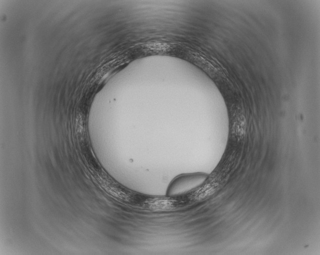 X0000071850518200607290136