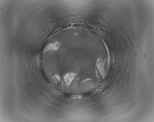 X0000071850519200607290136