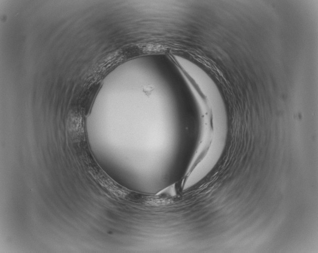 X0000071850521200607290135