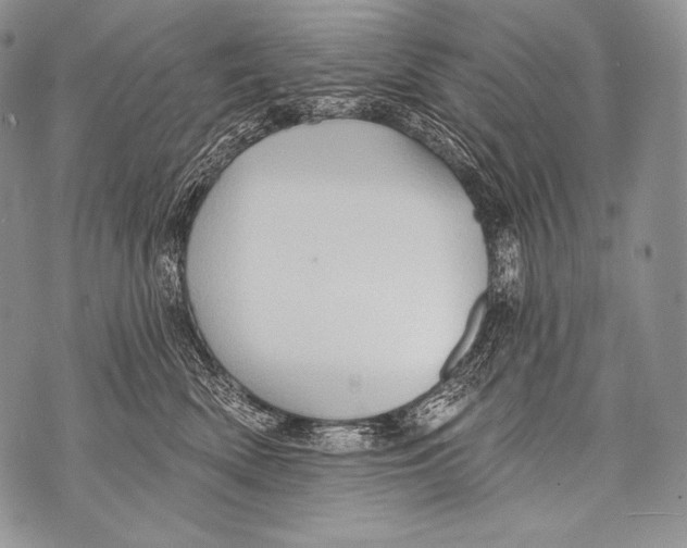 X0000071850522200607290135