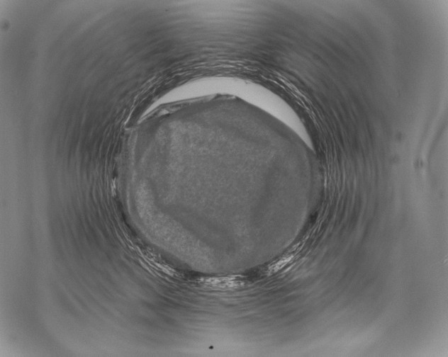 X0000071850524200607290135