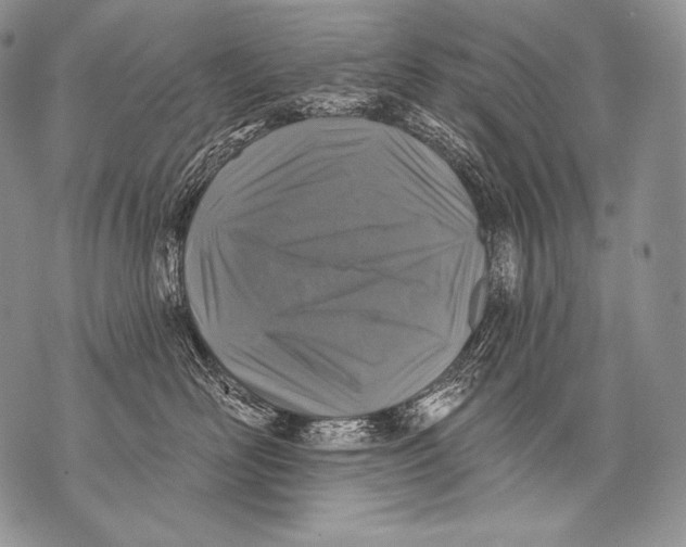 X0000071850526200607290135