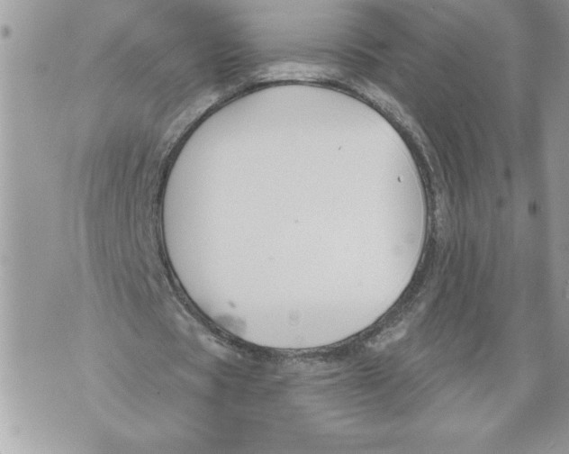 X0000071850529200607290135