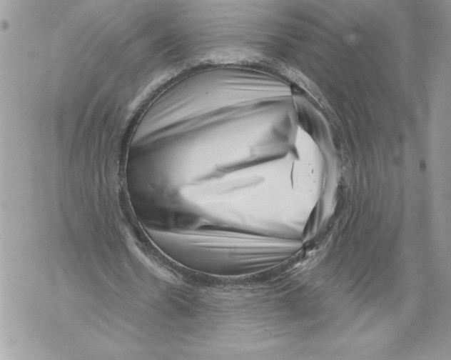 X0000071850530200607290135