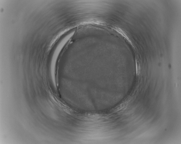 X0000071850531200607290135