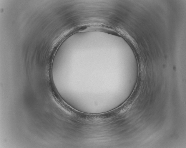 X0000071850533200607290135