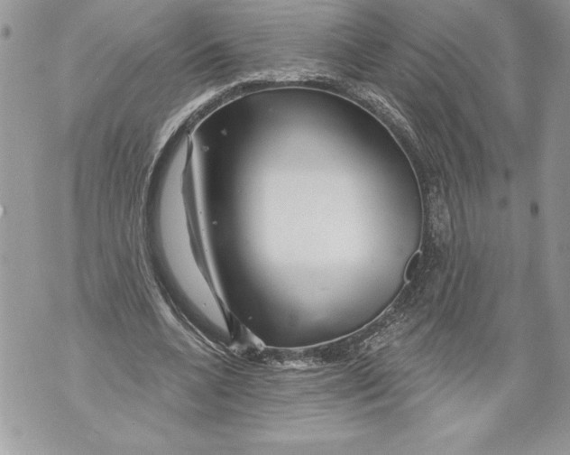 X0000071850536200607290135