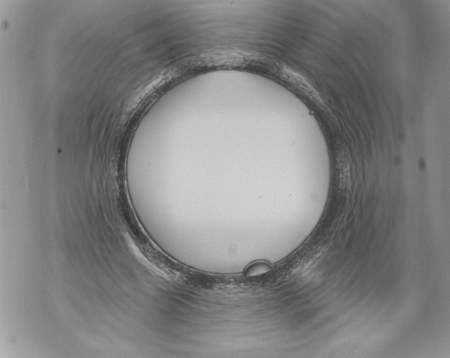 X0000071850538200607290135