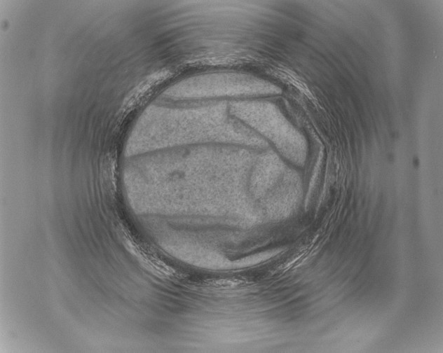 X0000071850542200607290135