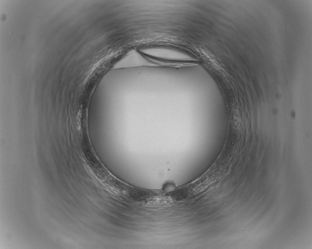 X0000071850543200607290135