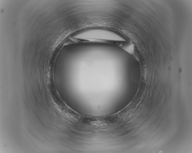 X0000071850544200607290135