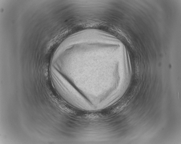 X0000071850545200607290135