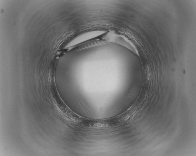 X0000071850546200607290135