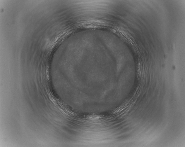 X0000071850547200607290135