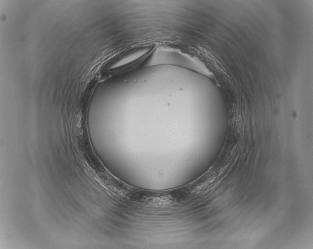 X0000071850548200607290135