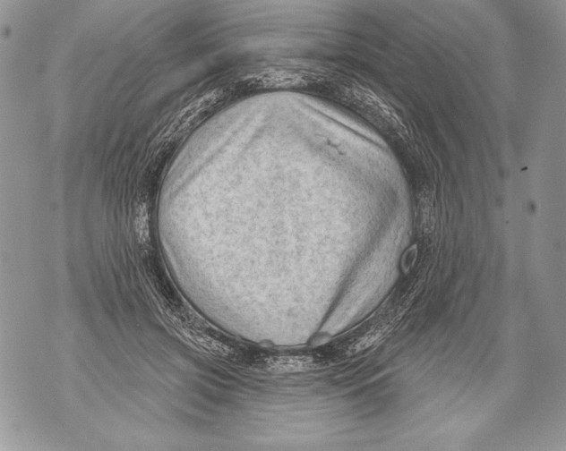 X0000071850549200607290135