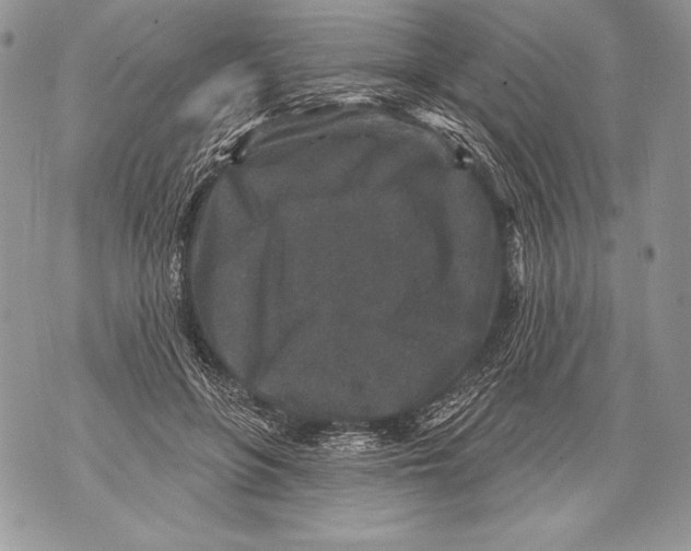 X0000071850551200607290135