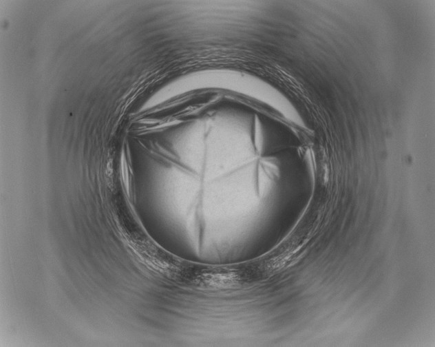 X0000071850552200607290135