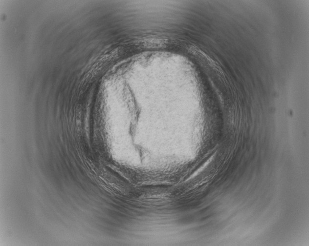 X0000071850553200607290135