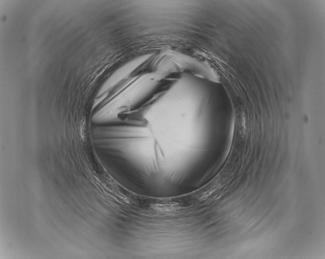 X0000071850556200607290135