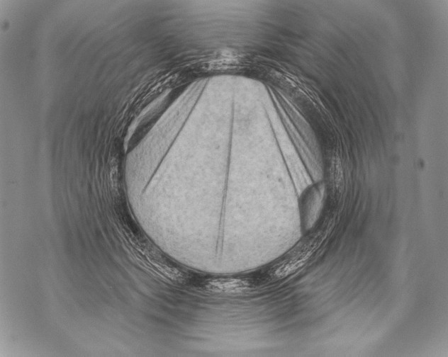 X0000071850557200607290135