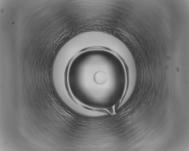 X0000071850558200607290135