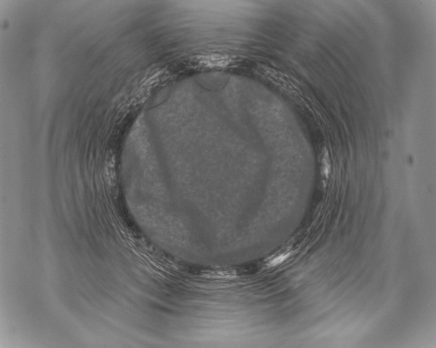 X0000071850559200607290135