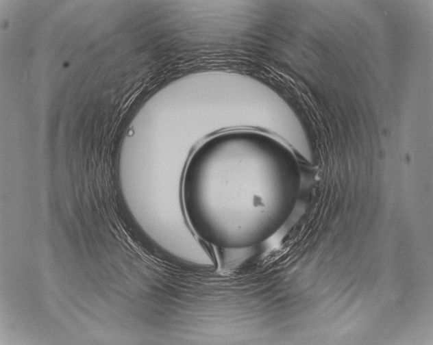 X0000071850560200607290135