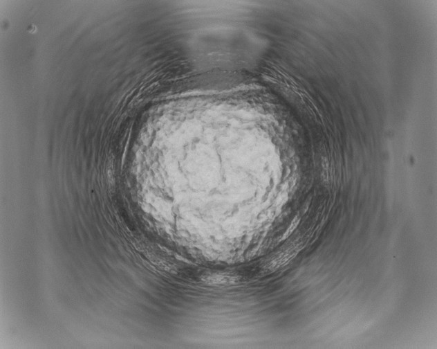 X0000071850561200607290135